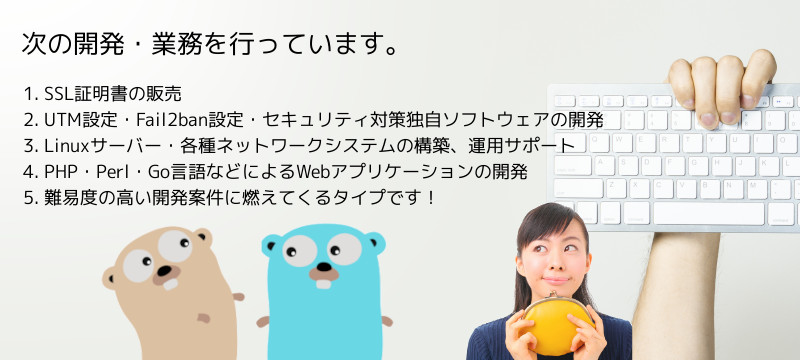 株式会社エスロジカル Ssl証明書 セキュリティ Web開発 Go言語